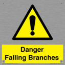 danger-falling-branches~